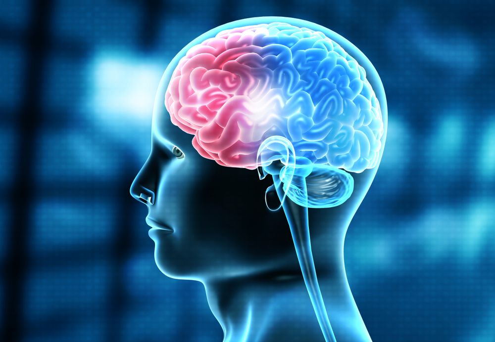 Concussion Injury