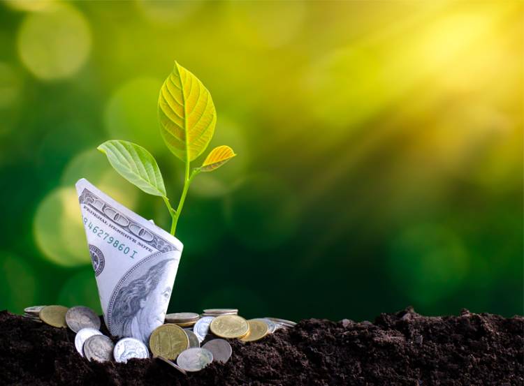 Investing in land development invest in solar farms