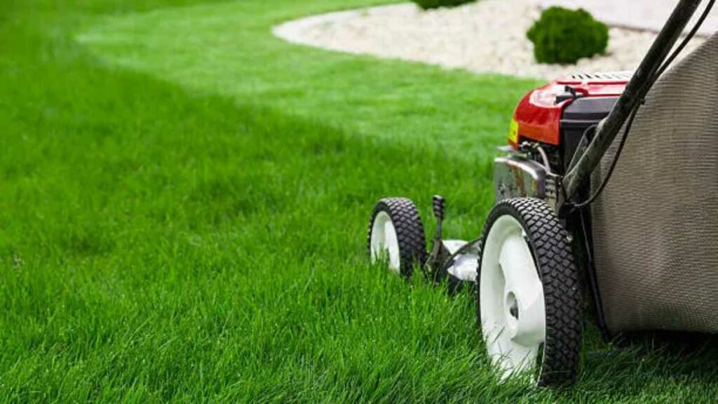 Lawn Care Services